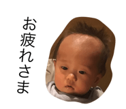 207788749