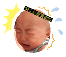 207811960