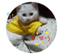 207839898