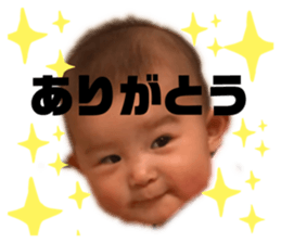 207844094