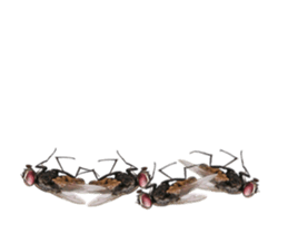 207893756