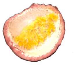 207927549