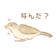 207961720