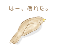 207961726
