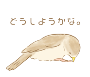207961737