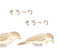 207961747