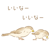 207961753