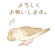207961754