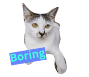 20798524