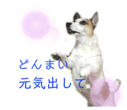 208018706