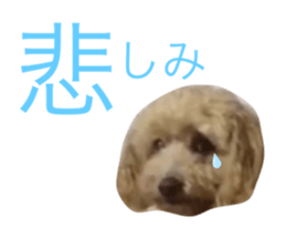 208021940