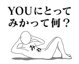 20804453