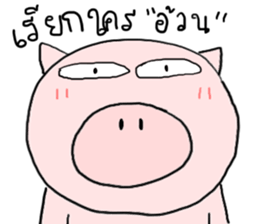 20805388