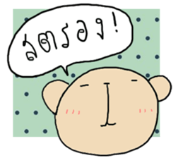 20805409