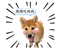 208112490