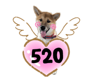 208112493