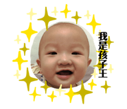 208207761