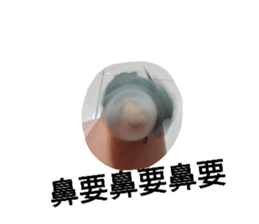 208246192