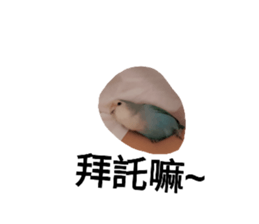 208246196