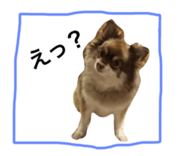 208258747