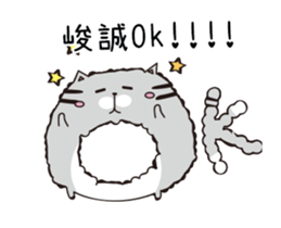 208293061