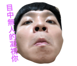 208330190