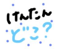 208334504