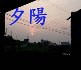 208477302