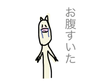 20848184