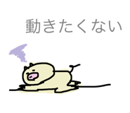 20848197