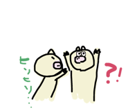 20848202