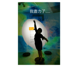 208502295