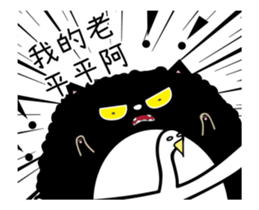 208507552