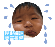 208507914