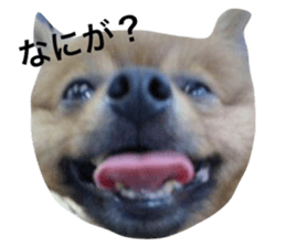 20861478