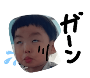 208629063