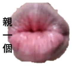 208649331