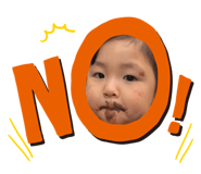 208662024