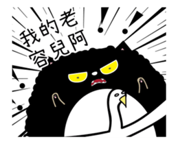 208787008