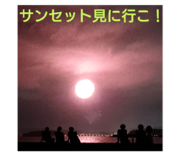 208837401