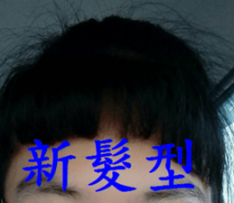 208926180