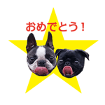 20897013