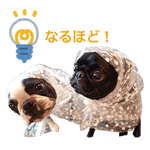 20897035