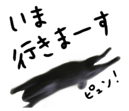 209005010