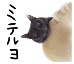 209005013