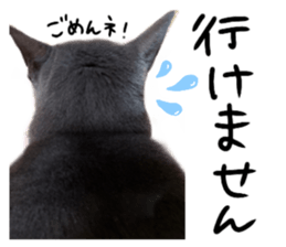 209005014
