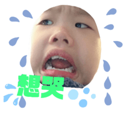 209019584