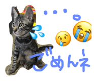 20902444