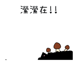 209165776
