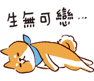 柴之助SHIBANOSUKE | 光頭賣- 最大的LINE貼圖代購網| 全館通通降五元